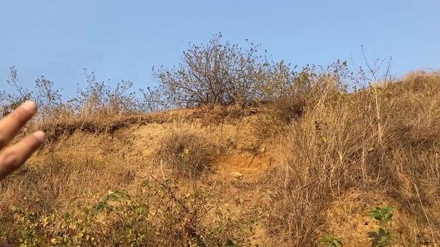 iphone SE 2020 Camera Video Quality Test | CameraVideo Stability Test | Video Test iphone SE 2020 смотреть онлайн