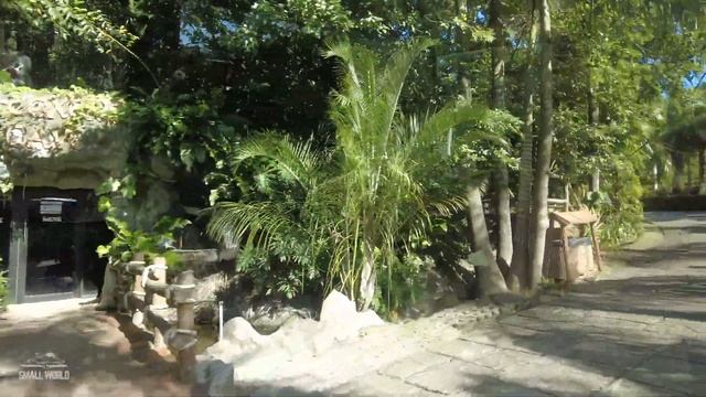 Roatan, Honduras Driving Tour | Relaxing Soft House Music - Bus from Port to Gumbalimba Park смотреть онлайн