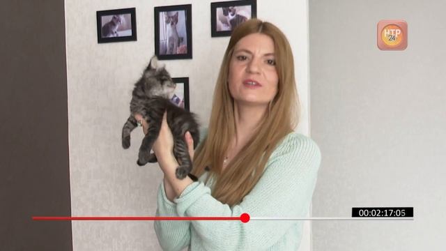 Хочу домой. Выпуск третий смотреть онлайн