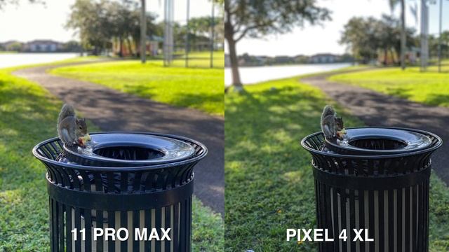 Google Pixel 4 XL vs iPhone 11 Pro Max - Camera Comparison Test смотреть онлайн