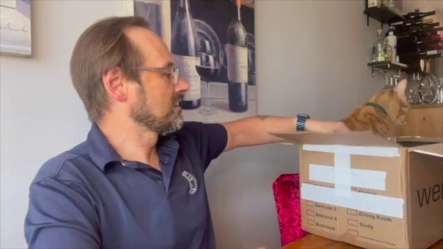 really really good Bargain Mystery Box from eBay смотреть онлайн