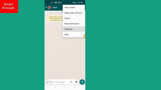 How to change Whatsapp wallpaper for individual contact on iPhone, iOS, Android? смотреть онлайн