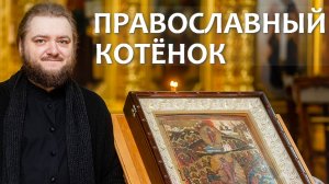 ПРАВОСЛАВНЫЙ КОТЁНОК. Отец Савва (Мажуко)