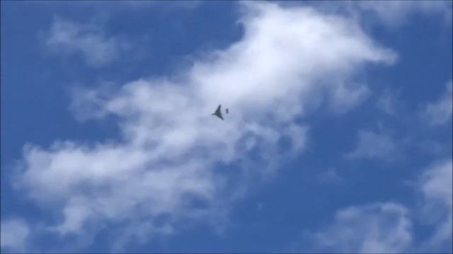 Sea Vixen Movie