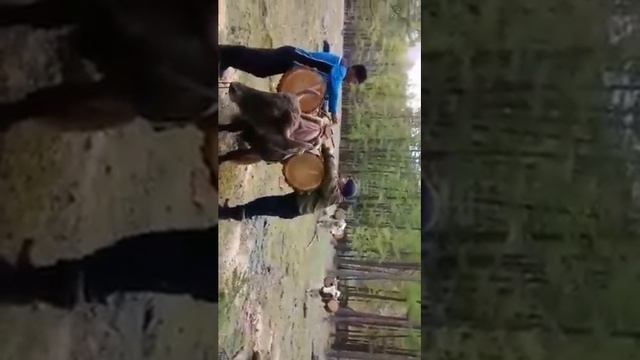 Зимняя готовка дров Республика Тыва смотреть онлайн