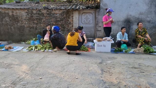 Harvest Figs Sell Them To The Market - Gardening - Growing Green Vegetables | Trieu Thi Thuy
