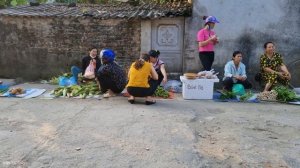 Harvest Figs sell them to the market - Gardening - Growing green vegetables | Trieu Thi Thuy