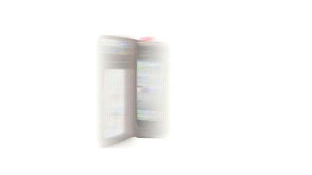 Introducing BookBook For iPhone from Twelve South смотреть онлайн