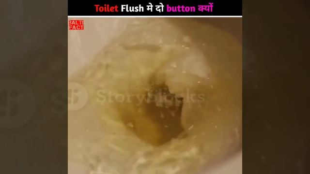 Toilet flush मे दो button क्यों लगाए जाते हैं। смотреть онлайн