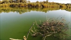 Рыбалка на реке Воронеж, 03.10.2024 года, Ловля на воблеры - крэнки, 5 - 7 грамм