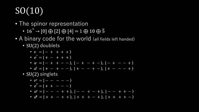 SO(10) Grand Unified Theory (Particle Physics) смотреть онлайн