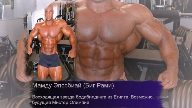 5 самых больших культуристов смотреть онлайн