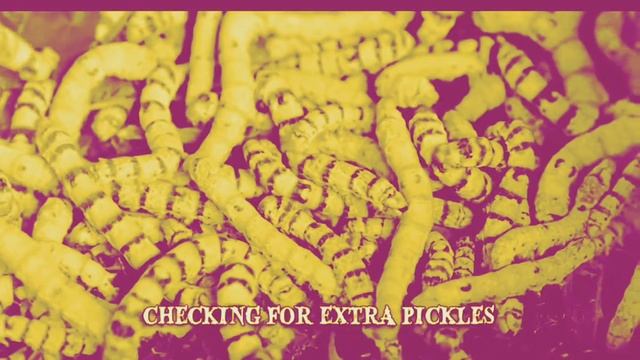 Number 8 maggots inside Big Mac earrape смотреть онлайн