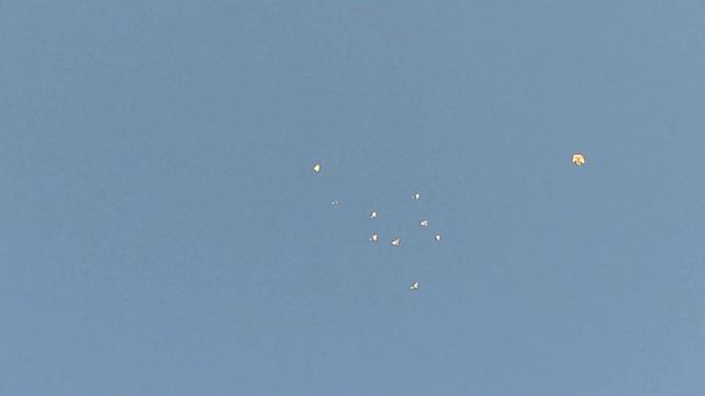 6 октября головастики танцуют смотреть онлайн