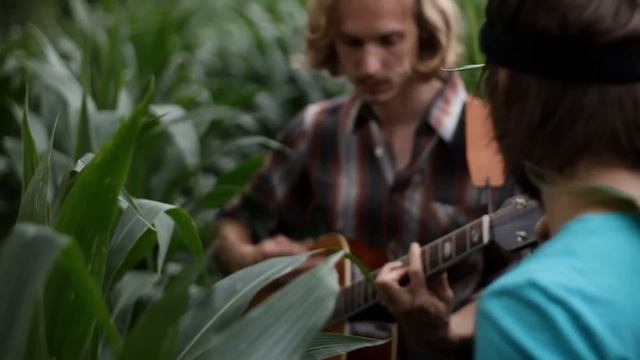 Steaming Satellites - How Dare You - CARDINAL SESSIONS (Appletree Garden Special)