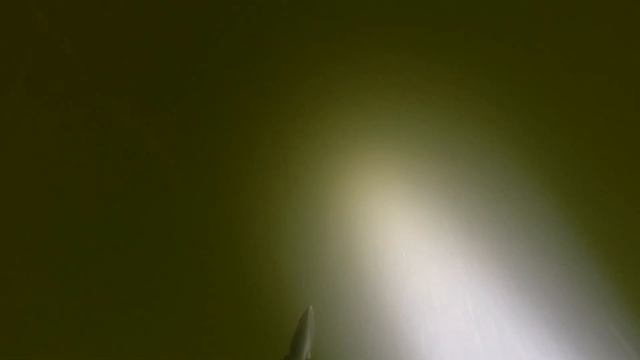 Долгожданный Трофей!Сомяра Дал Жару!Подводная Охота 2022 смотреть онлайн