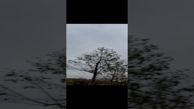 13-10-2024 смотреть онлайн