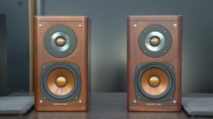 Victor (JVC) SP-EXA5 акустика с динамиками (диффузорами) из дерева.