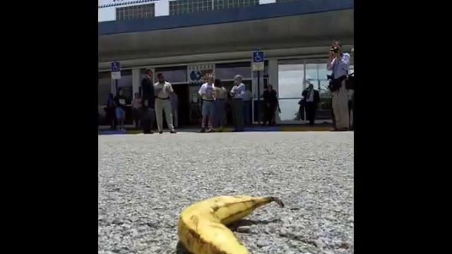 Apples and Bananas EVIL (G Major) смотреть онлайн