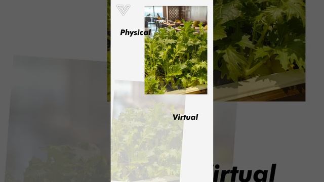 Huawei Mate 50 Pro: virtual VS physical aperture смотреть онлайн