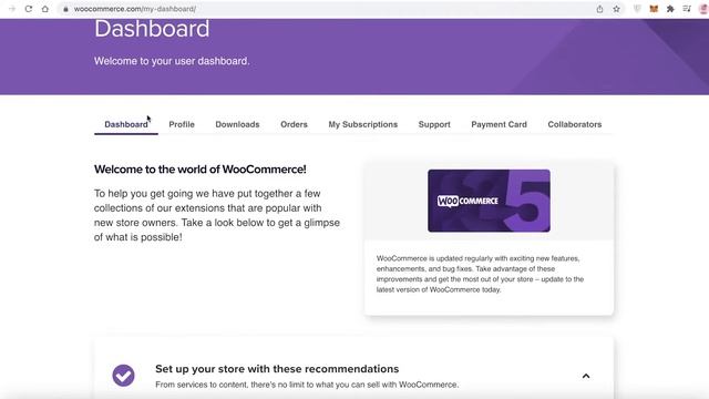 How To Connect Stripe Payment Gateway With Woocommerce | Easy Tutorial (2024) смотреть онлайн