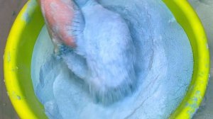 2 buckets of powder and a large bucket of thick paste 🌲 Squeezing sponges asmr 🧽