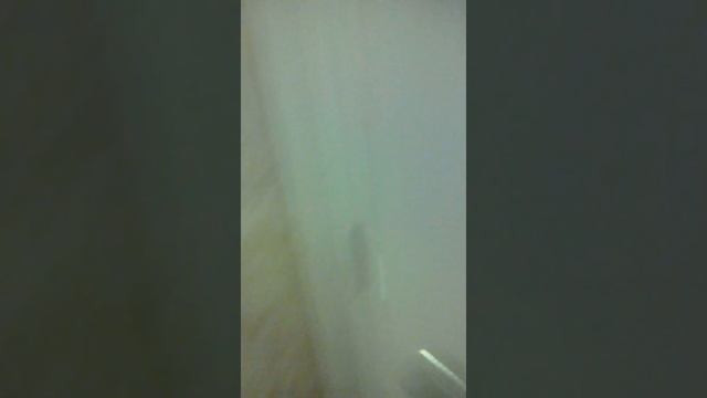 Стрим в туалете смотреть онлайн