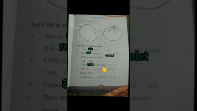 Work book unit 2 Class 1 /Part 4 смотреть онлайн