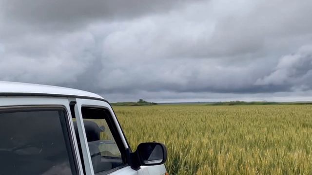 Охота на сурка. Открытие 2022 г. смотреть онлайн