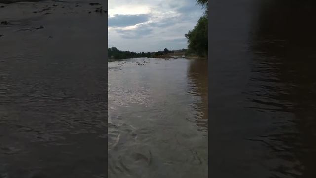 Затопило село Приозерное!3 августа 2019