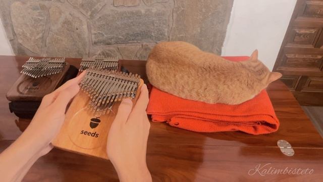 Für Elise (Beethoven) | Seeds Pisces Plus 41-Key & Pisces 34-Key Kalimba Cover