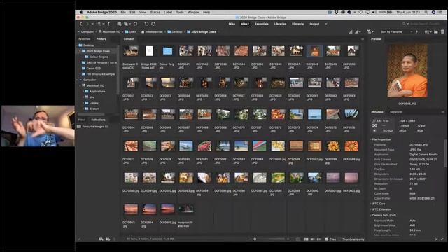 04 Online BRIDGE for Affinity Photo смотреть онлайн