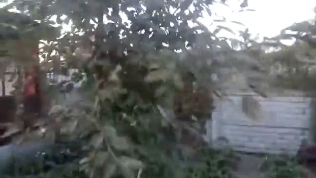 Продается дом в Калининграде. смотреть онлайн