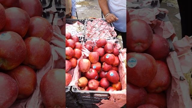 November 17, 2023 दिल्ली किन्नौर, अफगानिस्तान सेब, के भाव Afgani Apple market delhi fruit market смотреть онлайн