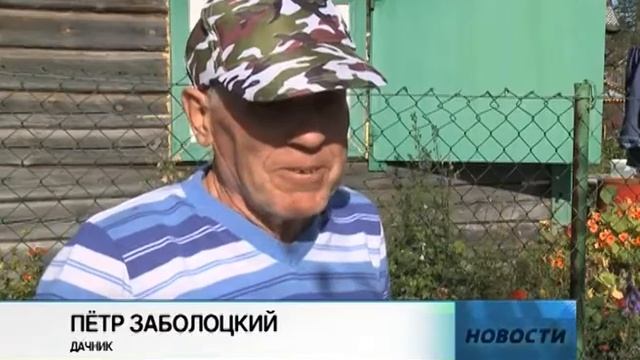Косолапый постучался в дверь смотреть онлайн