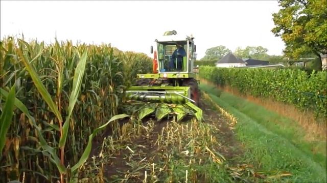 Maishäckseln - Claas Jaguar 80 SF mit 6 Reihig Maisgebiss (Sound)!!! смотреть онлайн