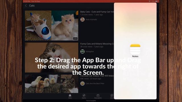 How to Use Split Screen on iOS 12/13 for Multitasking смотреть онлайн