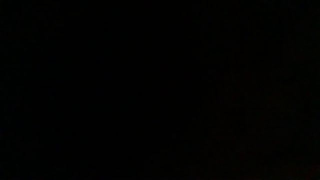 Go Diego Go - Jaguar Love to Growl смотреть онлайн