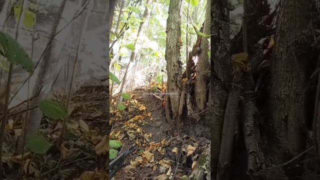 ⚡️СВО 18+ День был тяжёлый, лёгкие ранения, успешно взятые вражеские опорники. смотреть онлайн