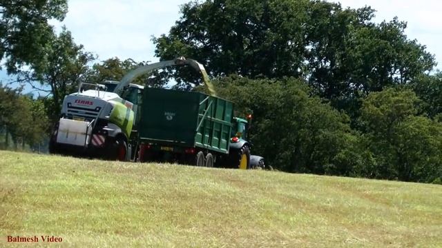 Silaging with NEW Claas Jaguar 870 on Demo. смотреть онлайн