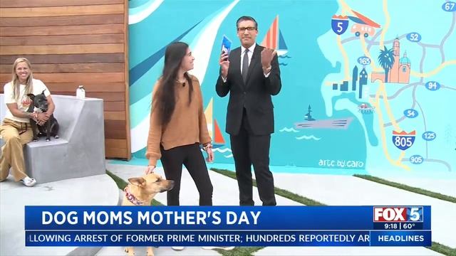 Dog Moms Day смотреть онлайн