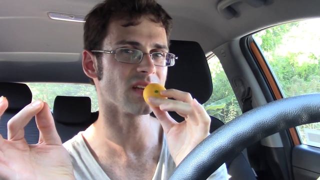 Kei Apple: The African Apricot - Weird Fruit Explorer Ep 262 смотреть онлайн
