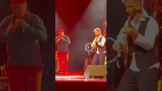 Ходила на концерт Дидюля! Полные версии композиции скоро выйдут! #дидюля