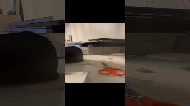 Тутор на книгу.☺️☺️