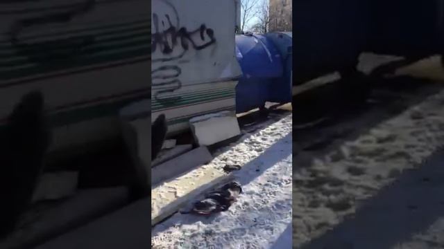 Паша Срёт (Часть первая) смотреть онлайн