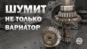 🤔 Шум раздатки или вариатора?  Ниссан Х-трейл T31 2012 | Джатко-Сервис