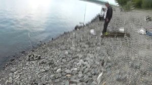 рыбалка на Оби 24г.