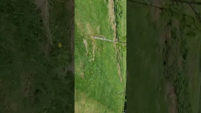 Koszenie trawy traktorkiem SABO 92-13H смотреть онлайн