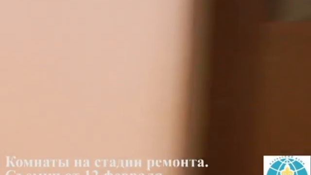 Panda Hostel смотреть онлайн