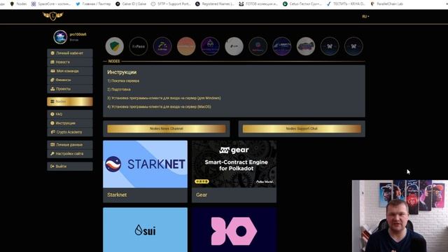 Как установить Ноды топовых криптопроектов! Starknet | Ironfish | Sui | Gear - установка ноды